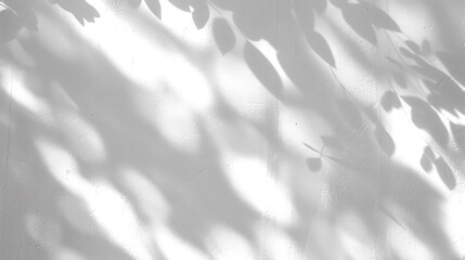 Shadow of tree leaves in the sun isolated on transparent background. PNG