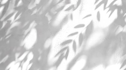 Shadow of tree leaves in the sun isolated on transparent background. PNG