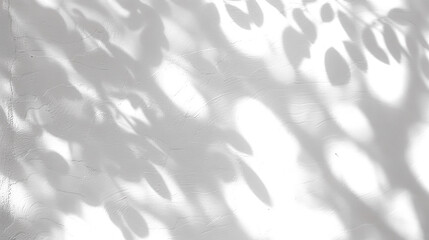 Shadow of tree leaves in the sun isolated on transparent background. PNG