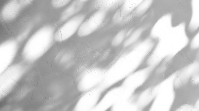 Shadow of tree leaves in the sun isolated on transparent background. PNG