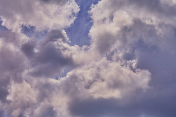 Cumulus clouds in pink light, evening pink light on clouds