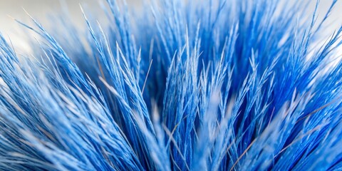 Obraz premium Vibrant blue fescue grass blades sway gently, forming a lush, textured border, isolated on a pure white background, perfect for contrast and design accents.