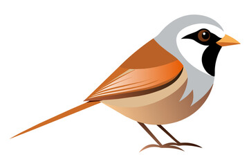 Bearded reedling bird vector art illustration