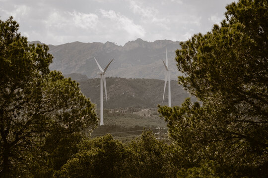 Wind turbines rise above a dense forest with rugged mountains in the distance, illustrating the integration of green energy solutions within natural environments for a sustainable future.