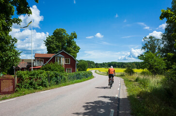 Picturesque rural landscape of Scandinavia, Man cycling on country road winding among yellow fields, forest and traditional Swedish red wooden house on summer sunny day, Västmanland, Sweden © art_of_line