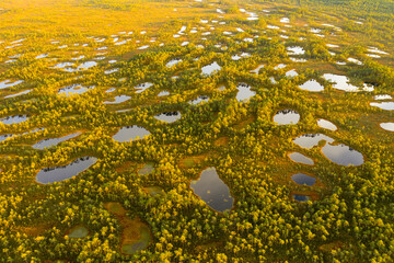Aerial view to bog in Estonia, golden light