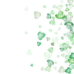 Autumn falling leaves isolated on white background.  Autumn maple and oak leaves. Red gold yellow sorb dry autumn leaves. 