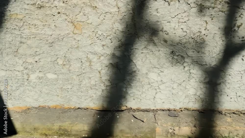 Poster sunlight casts long shadows on a textured wall, creating an abstract, mysterious atmosphere with pat