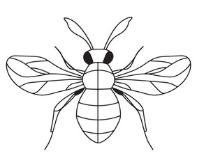 illustration of a bee silhouette line art vector