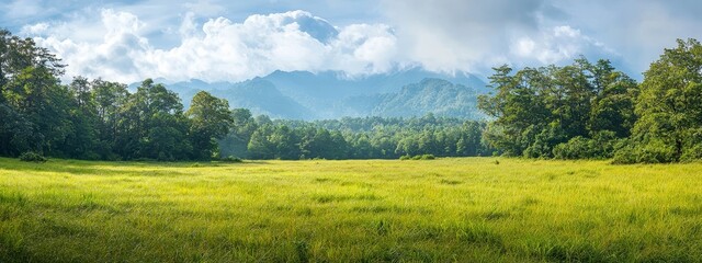 Fototapeta premium A grassy field dotted with trees Behind, a mountain range distances away, topped with white clouds in the sky