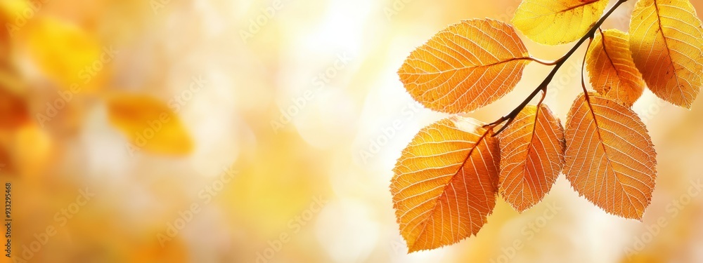 Wall mural a tree branch with leaves in sharp focus in the foreground and a softly blurred backdrop of more lea