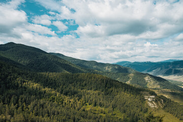 Obraz premium Expansive landscape of the Altai Mountains displaying forests and rolling hills under a bright blue sky with fluffy clouds