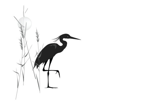 recommend clip art: Heron in the thickets of reeds (cane) stands on one leg and the sun is above. Silhouette vector illustration isolated on white background.
