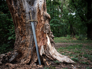 Close-up a beautiful medieval sword with a bronze hilt