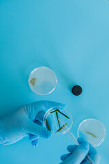 Production line pharmaceutical industry. Manufacturing of drugs and medications, pharmaceuticals.