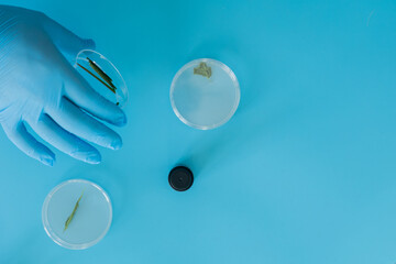 Production line pharmaceutical industry. Manufacturing of drugs and medications, pharmaceuticals.