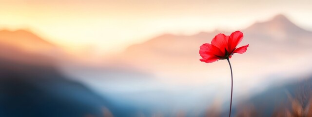  A solitary red bloom sits in the foreground against a backdrop of mountains, as the sun sets in the distance