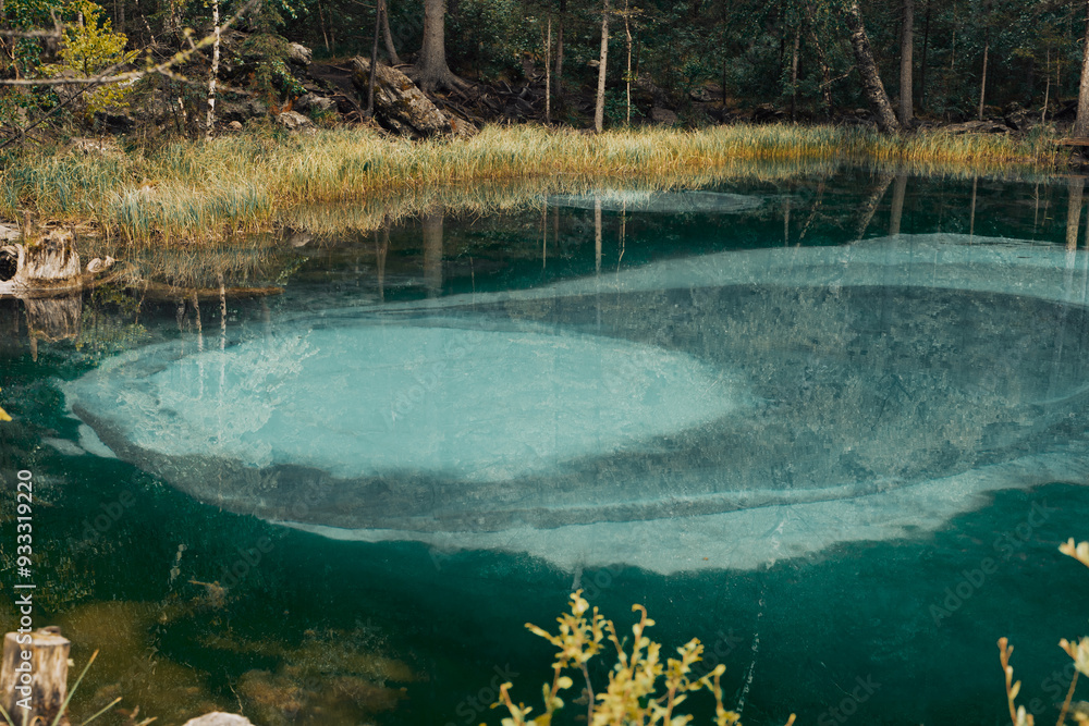 Poster circular patterns create a mesmerizing view in the crystal-clear waters of a tranquil pond nestled w