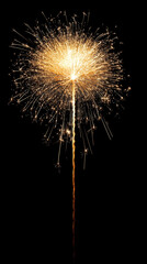 Fototapeta premium fireworks in the night sky