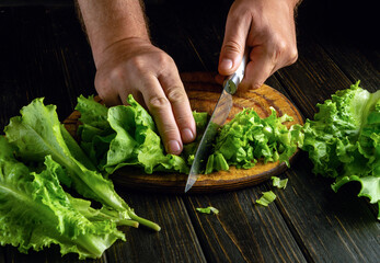 Shredding lettuce leaves to add to vegetarian food. Knife in chef hand preparing vegan food on kitchen table.