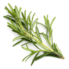 Rosemary leaf herbal is spices isolated on a white background.