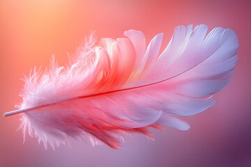 Obraz premium An elegant hand-drawn feather in white