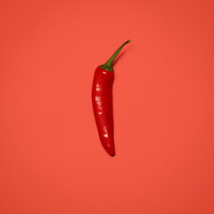 Red chili, organic and nutrition in studio for fresh produce, digestive health and vitamin c for wellness. Vegetable, culinary or ingredient in isolated background for cooking, spicy or mockup space