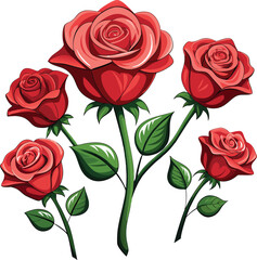 Fototapeta premium Rose vector illustration graphic Art design.