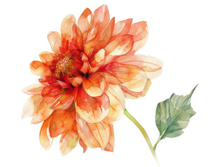 A vibrant orange dahlia flower showcasing intricate watercolor details, perfect for nature-themed designs and inspirations.