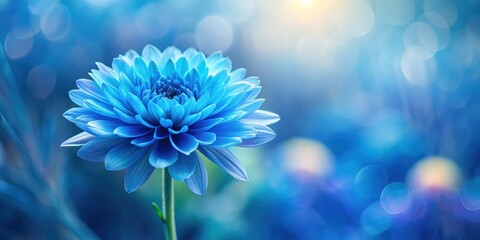 Obraz premium Blue flower against a blurred background, blue, flower, nature, background, garden, botanical, vibrant, beauty, colorful