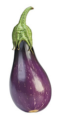 [Transparent Background PNG]Single Purple Eggplant Isolated on White Background