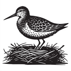 Obraz premium Common Sandpiper Silhouette - Sandpiper Birt Clipart, Common Sandpiper sitting on a nest Illustration in black and white