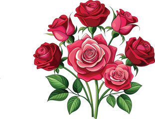 Fototapeta premium Rose vector illustration graphic Art design.