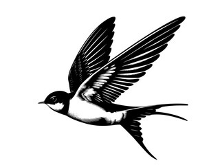 illustration of a flying swallow 