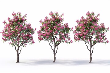 Obraz premium A picturesque scene featuring a set of Cornus florida trees, also known as flowering dogwoods, in full bloom. The trees are adorned with clusters of delicate white and pink flowers against a backdrop 