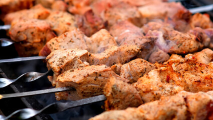 Close-up of delicious grilled kebabs on skewers cooking over a barbecue. Ideal for highlighting outdoor grilling and savory flavors.