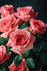 Fototapeta premium A bouquet of pink roses with green leaves