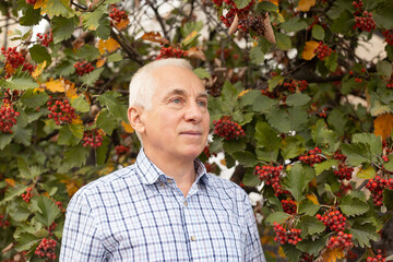 Trendy smiling senior man with grey head near autumn nature, rowan and leaves