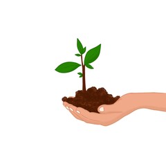 illustration of hand holding plant and soil, isolated on white background