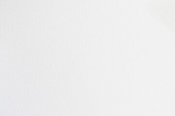 Fototapeta premium Minimalist White Paper Texture