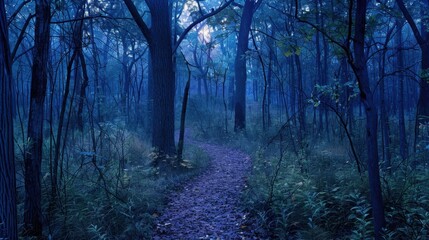 Obraz premium An indigo pathway leading through a forest at twilight, inviting exploration