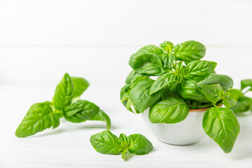 Green basil leaves on a textured wooden background. Kitchen herbs, spices. Fresh green organic basil. Vegan. Greens for salad. Place for text. Copy space.