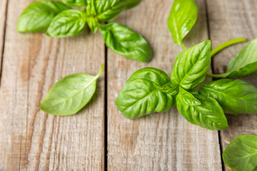 Green basil leaves on a textured wooden background. Kitchen herbs, spices. Fresh green organic basil. Vegan. Greens for salad. Place for text. Copy space.