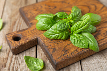 Green basil leaves on a textured wooden background. Kitchen herbs, spices. Fresh green organic basil. Vegan. Greens for salad. Place for text. Copy space.