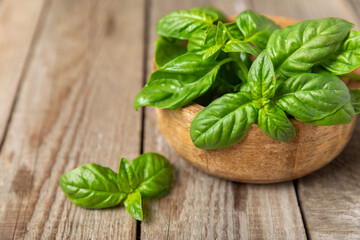 Green basil leaves on a textured wooden background. Kitchen herbs, spices. Fresh green organic basil. Vegan. Greens for salad. Place for text. Copy space.