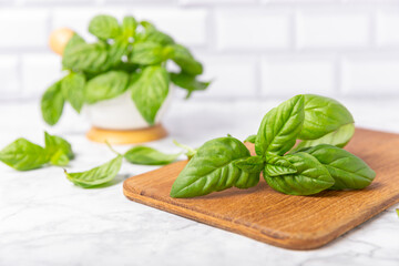 Green basil leaves on a textured wooden background. Kitchen herbs, spices. Fresh green organic basil. Vegan. Greens for salad. Place for text. Copy space.