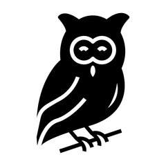 Fototapeta premium owl