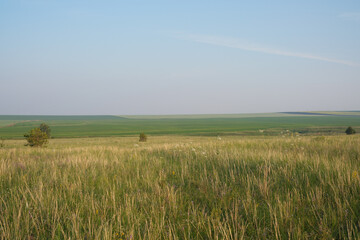 A Vast and Beautiful Green Landscape Exhibiting a Clear and Bright Blue Sky Above It