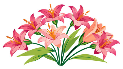 Lily illustration, Lily flower vector art, Lily flower illustration, Lily vector,  illustration of Lily isolated on white