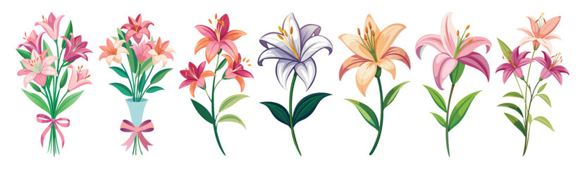 Lily illustration, Lily flower vector art, Lily flower illustration, Lily vector,  illustration of Lily isolated on white